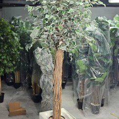 تصویر درختچه بنجامین ابلق مصنوعی 