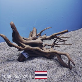 تصویر ریشه آبنوس کد1058 ارسال این ریشه رایگان می باشد