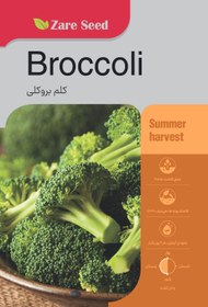 تصویر بذر کلم بروکلی 