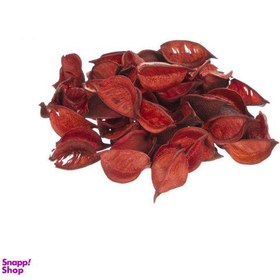 تصویر گل خشک مدل S79 