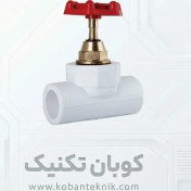 تصویر شیر فلکه پلیمری آذین 