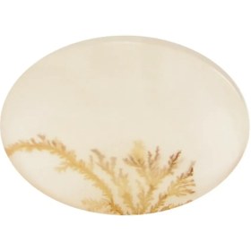 تصویر سنگ شجر کد 3044 