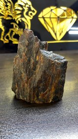 تصویر فسیل چوب راف 