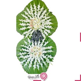 تصویر تاج گل آترین 