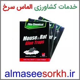 تصویر چسب موش بسیار قوی بسته 5 عددی 