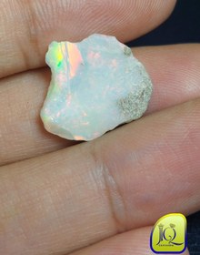 تصویر اوپال راف 