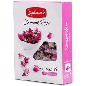 تصویر غنچه گل محمدی 