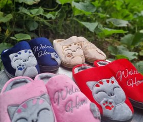 تصویر پاپوش 