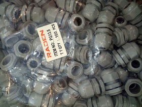 تصویر گلند PG13 