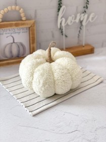 تصویر کدو تدی بزرگ سفید 