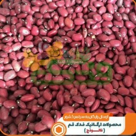 تصویر لوبیا قرمز ممتاز فدک (فروش ویژه) 