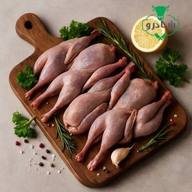 تصویر بلدرچین 