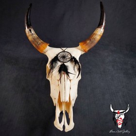 تصویر جمجمه گاو دریم کچر 