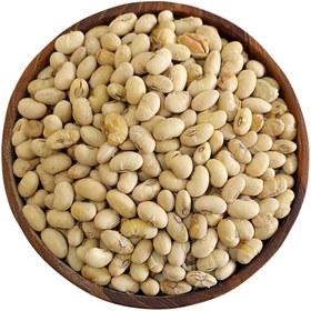 تصویر سویا نمکی 