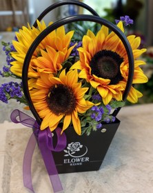 تصویر بگ گل مینی آفتابگردون 