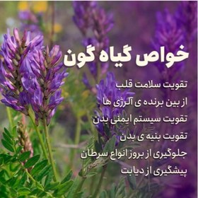 تصویر عسل اصل و طبیعی گون 