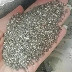 تصویر دانه چیا 75 گرم 