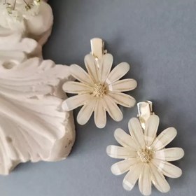 تصویر گلسر انبری بابونه 