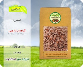 تصویر اسفرزه 