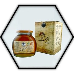 تصویر عسل باریجه سمنان 550 گرمی 