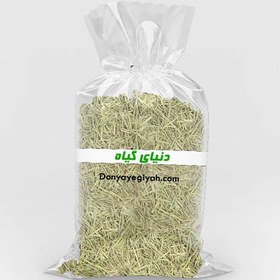 تصویر رزماری 