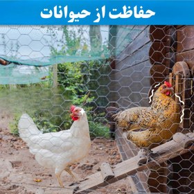 تصویر توری مدل مرغی کد 120 طول 3 متر 