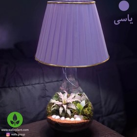 تصویر تراریوم آباژور 