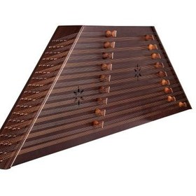 تصویر سنتور صالحی راد 