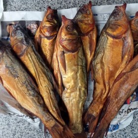 تصویر ماهی شور رشتی 