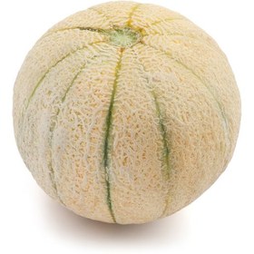 تصویر طالبی 