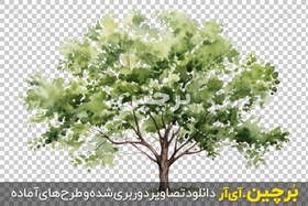 تصویر نقاشی آبرنگ بدون بکگراند درخت 