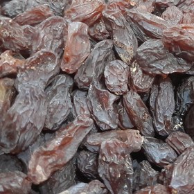 تصویر مویز رطبی 