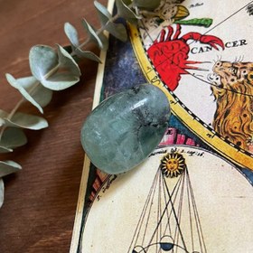 تصویر فلوریت ۰۸ 