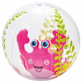 تصویر توپ بادی اینتکس - کد 58031P 