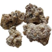 تصویر شیر خشت 