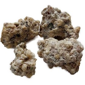 تصویر شیر خشت 