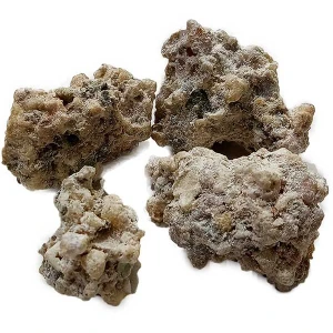 تصویر فروشگاه سی گل استور