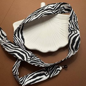 تصویر بندعینک طرح زبرا 