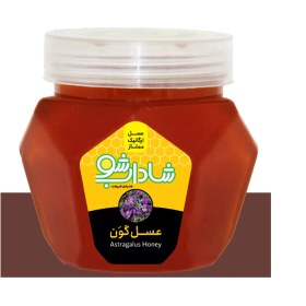 تصویر عسل گون 1 کیلوگرم 