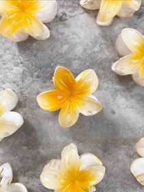 تصویر کلیپس پلومریا زرد و سفید ۴ سانت 