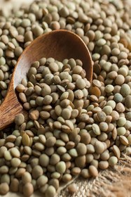 تصویر عدس ممتاز ۱۱۰ 