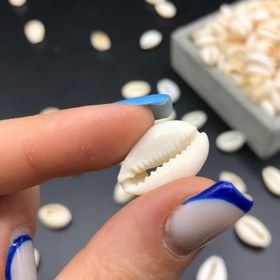 تصویر صدف دریایی sadaf