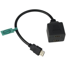 تصویر تبدیل یک به دو HDMI 