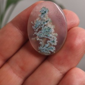 تصویر نگین عقیق شجر بهاری 