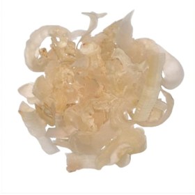 تصویر کتیرا سفید 