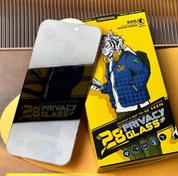 تصویر گلس آنتی استاتیک BIG EDGE praviacy تمام صفحه پرایویسی درجه ۱ - iPhone 13 