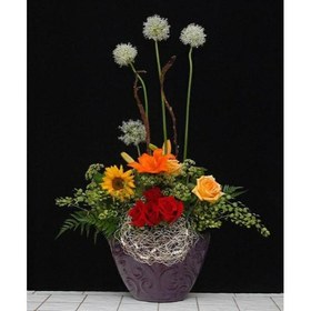 تصویر جام گل تبریک 1976 