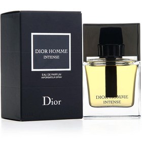2011 dior homme
