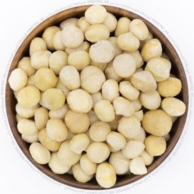 تصویر مغز فندق ماکادمیا MACADAMIA