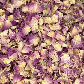 تصویر پر گل محمدی خراسانی 